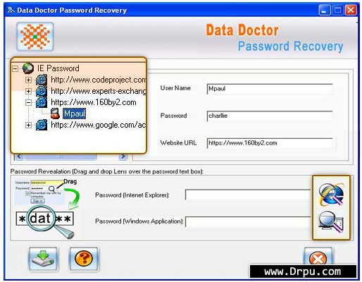 Recover Internet Explorer Password software