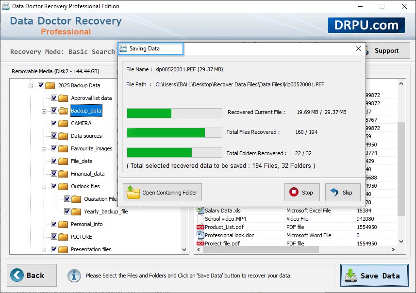 Data Restore Software - Professional
